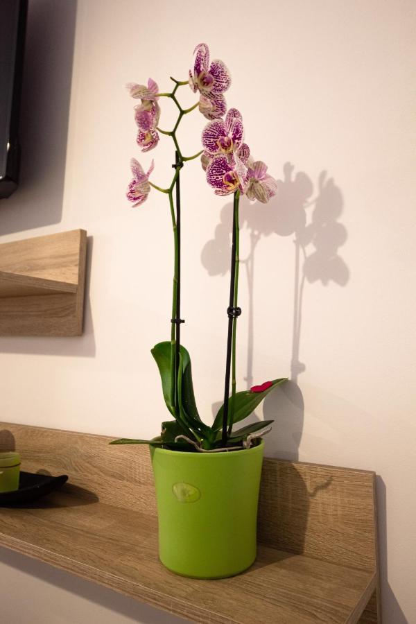 Opera Apart 2 Apartment บราชอฟ ภายนอก รูปภาพ